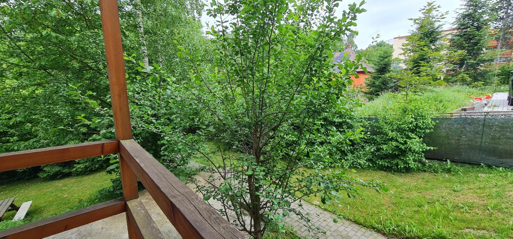 Apartmany Orlová 外观 照片